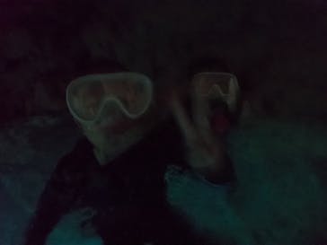 武藤潜水に投稿された画像（2022/8/4）