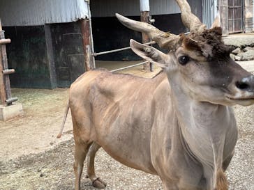 那須サファリパークに投稿された画像（2022/8/4）