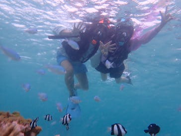 宮古島 ADVENTURE PiPi（ミヤコジマ アドベンチャー ピピ）に投稿された画像（2022/8/4）