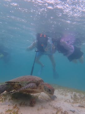 宮古島 ADVENTURE PiPi（ミヤコジマ アドベンチャー ピピ）に投稿された画像（2022/8/4）