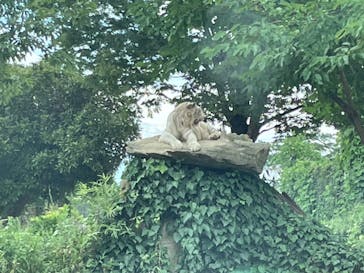 群馬サファリパークに投稿された画像（2022/8/5）