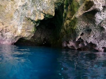 武藤潜水に投稿された画像（2022/8/5）