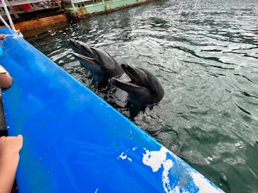 下田海中水族館に投稿された画像（2022/8/5）