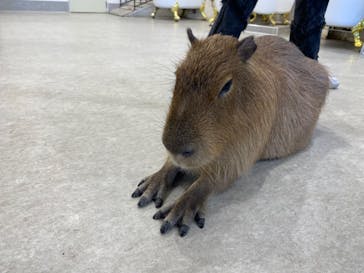 アニタッチみなとみらいに投稿された画像（2022/8/5）