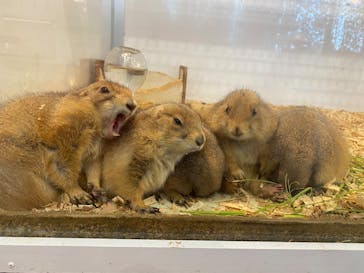 アニタッチみなとみらいに投稿された画像（2022/8/5）