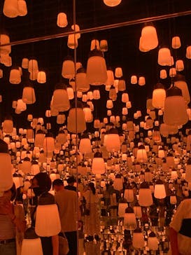 森ビル デジタルアート ミュージアム：エプソン チームラボボーダレスに投稿された画像（2022/8/5）