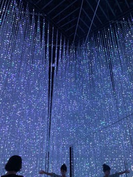 森ビル デジタルアート ミュージアム：エプソン チームラボボーダレスに投稿された画像（2022/8/5）