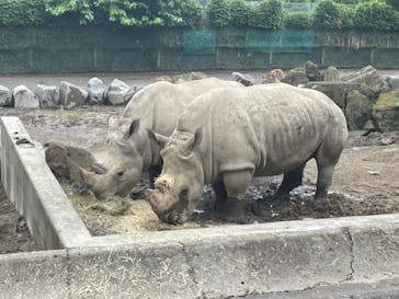 群馬サファリパークに投稿された画像（2022/8/5）