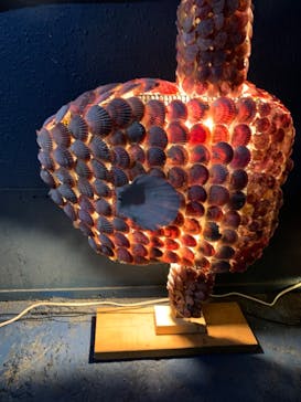 ゼロ距離水族館 伊勢シーパラダイスに投稿された画像（2022/8/5）