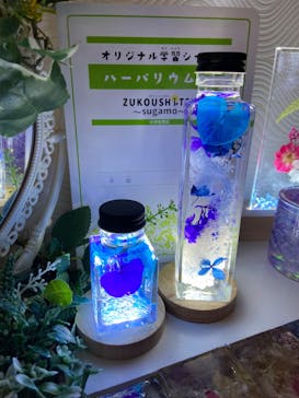 ずこうしつ〜sugamo〜に投稿された画像（2022/8/5）