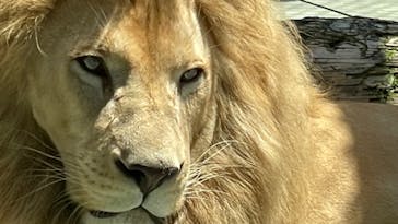 姫路セントラルパークに投稿された画像（2022/8/5）