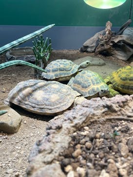 サンシャイン水族館に投稿された画像（2022/8/5）