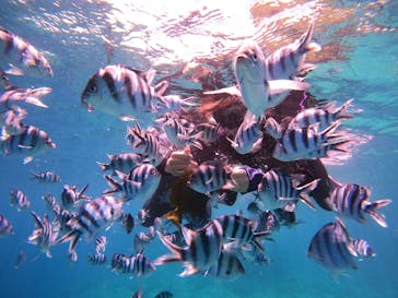 沖縄マリンサービス碧に投稿された画像（2022/8/5）