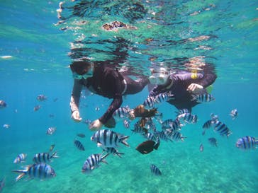 沖縄マリンサービス碧に投稿された画像（2022/8/5）