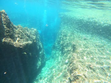 沖縄マリンサービス碧に投稿された画像（2022/8/5）