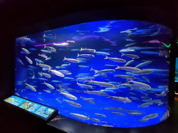 下田海中水族館に投稿された画像（2022/8/5）