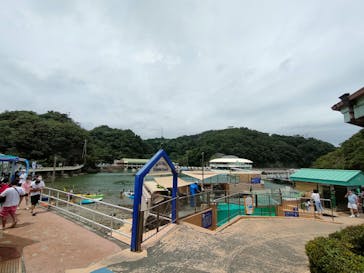 下田海中水族館に投稿された画像（2022/8/5）
