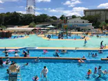 日本モンキーパークに投稿された画像（2022/8/5）