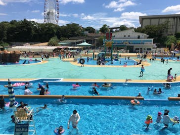 日本モンキーパークに投稿された画像（2022/8/5）