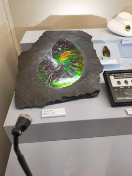 特別展「宝石　地球がうみだすキセキ」（名古屋市科学館　理工館地下２階イベントホール）に投稿された画像（2022/8/5）