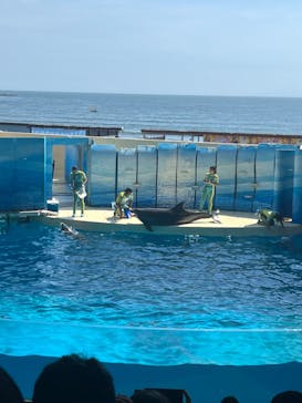 新江ノ島水族館に投稿された画像（2022/8/5）