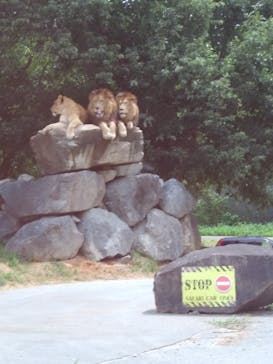 姫路セントラルパークに投稿された画像（2022/8/5）