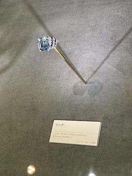 特別展「宝石　地球がうみだすキセキ」（名古屋市科学館　理工館地下２階イベントホール）に投稿された画像（2022/8/5）