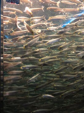 株式会社Gに投稿された画像（2022/8/5）