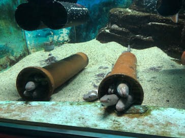 株式会社Gに投稿された画像（2022/8/5）