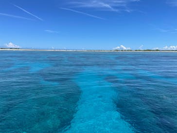 Sea World（シーワールド）に投稿された画像（2022/8/5）