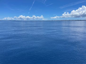 Sea World（シーワールド）に投稿された画像（2022/8/5）