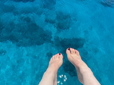 Sea World（シーワールド）に投稿された画像（2022/8/5）