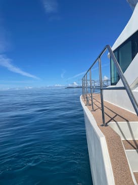 Sea World（シーワールド）に投稿された画像（2022/8/5）