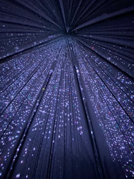 チームラボプラネッツ TOKYO DMMに投稿された画像（2022/8/5）