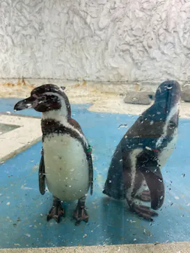 天王寺動物園に投稿された画像（2022/8/5）