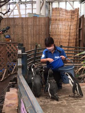 ゼロ距離水族館 伊勢シーパラダイスに投稿された画像（2022/8/5）
