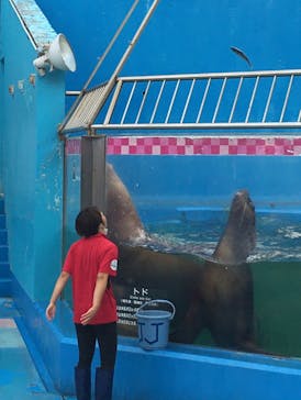 ゼロ距離水族館 伊勢シーパラダイスに投稿された画像（2022/8/5）