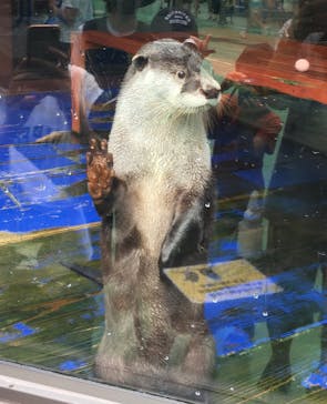 ゼロ距離水族館 伊勢シーパラダイスに投稿された画像（2022/8/5）