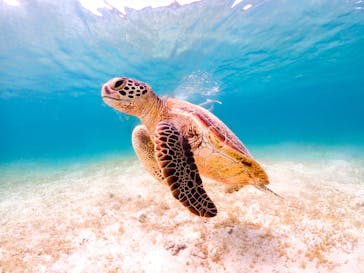 ちゃこたびに投稿された画像（2022/8/5）