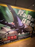 体感するファーブル昆虫展 NAGOYAに投稿された画像（2022/8/5）