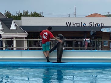 南知多ビーチランド＆南知多おもちゃ王国に投稿された画像（2022/8/5）