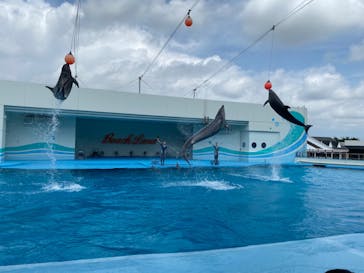 南知多ビーチランド＆南知多おもちゃ王国に投稿された画像（2022/8/5）