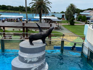 南知多ビーチランド＆南知多おもちゃ王国に投稿された画像（2022/8/5）