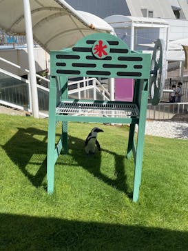 マリンワールド海の中道に投稿された画像（2022/8/5）