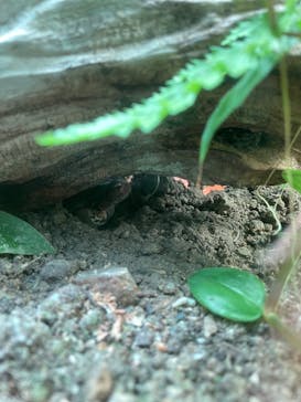 マリンワールド海の中道に投稿された画像（2022/8/5）