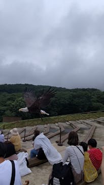 那須どうぶつ王国に投稿された画像（2022/8/5）