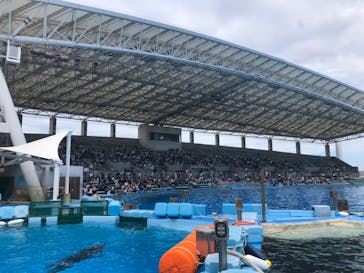 名古屋港水族館に投稿された画像（2022/8/5）
