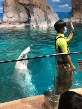 名古屋港水族館に投稿された画像（2022/8/5）