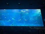 沖縄美ら海水族館に投稿された画像（2022/8/6）