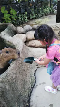 神戸どうぶつ王国に投稿された画像（2022/8/5）